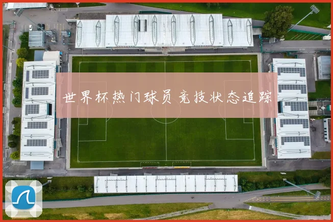 世界杯热门球员竞技状态追踪
