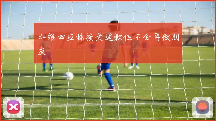 加维回应称接受道歉但不会再做朋友