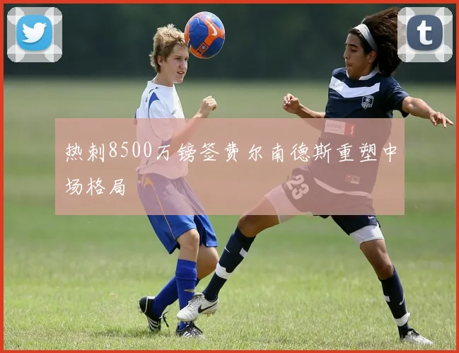 热刺8500万镑签费尔南德斯重塑中场格局